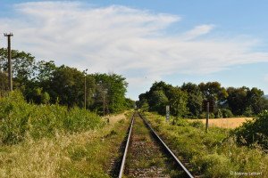 ferrovia-sticcianese